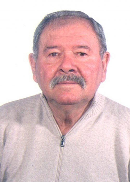 Gelmino Barison